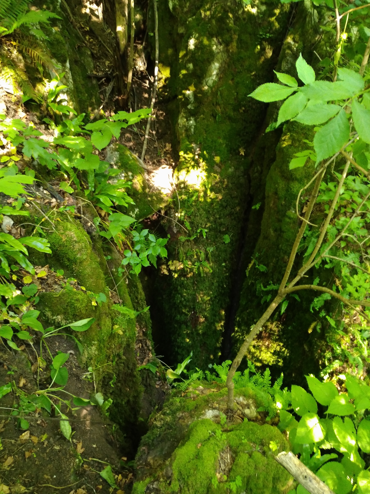 Avenul din Dolină (Avenul Groazei) - Image 4